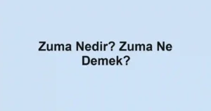 Zuma Nedir? Zuma Ne Demek?