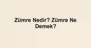 Zümre Nedir? Zümre Ne Demek?