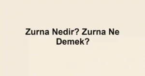 Zurna Nedir? Zurna Ne Demek?